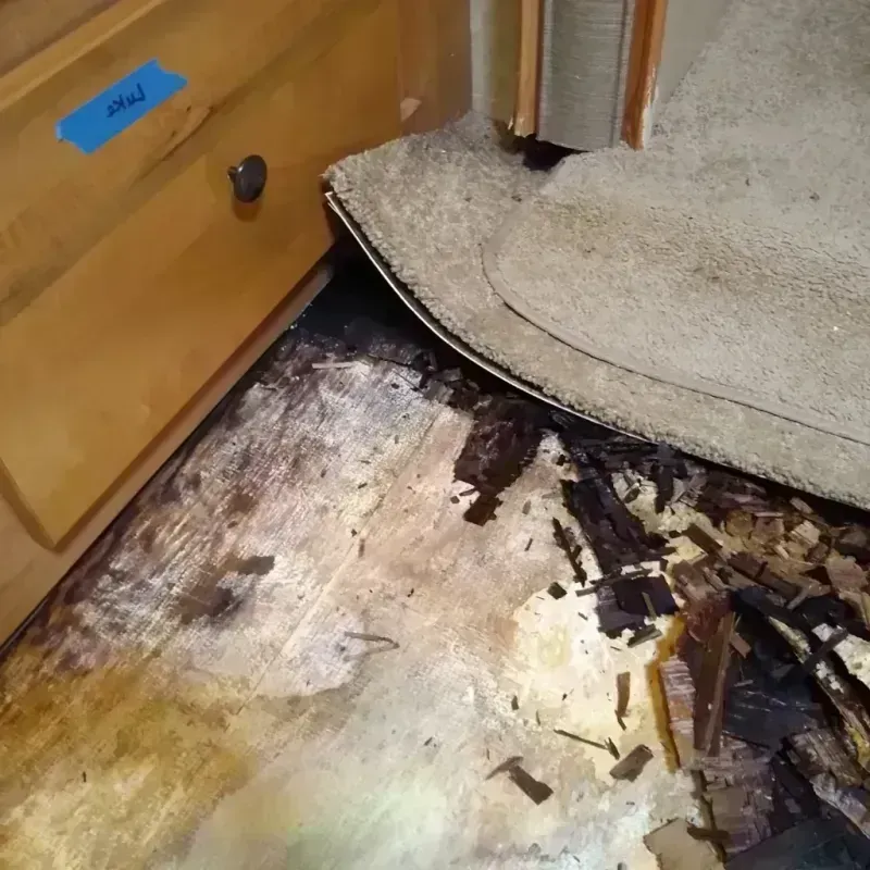 Wood Floor Water Damage in Awendaw, SC